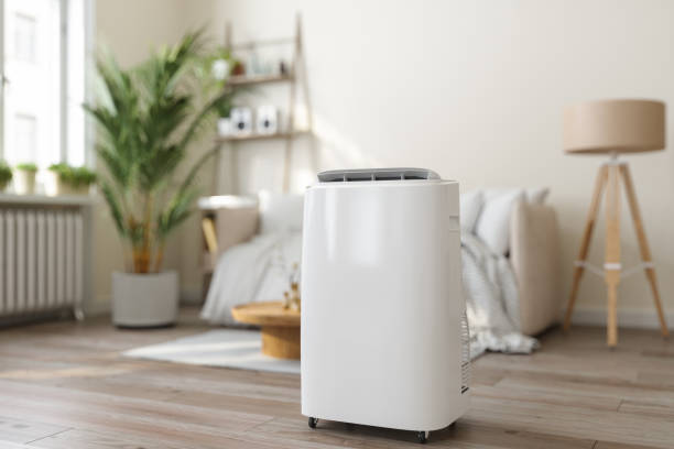 Best Ductless Mini-Split Systems in Denham Springs, LA